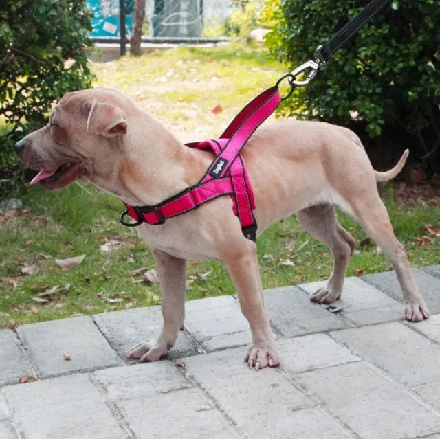 Dog Adjustable Walking Harness